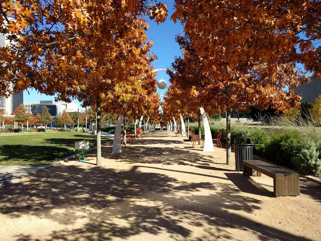 NorthBark Dog Park Dallas: Which Section to Choose