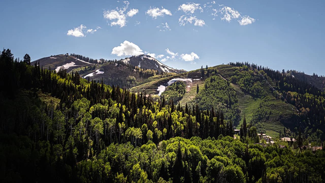 Dog-Friendly Park City, UT: Patios, Trails, Parks & Stays