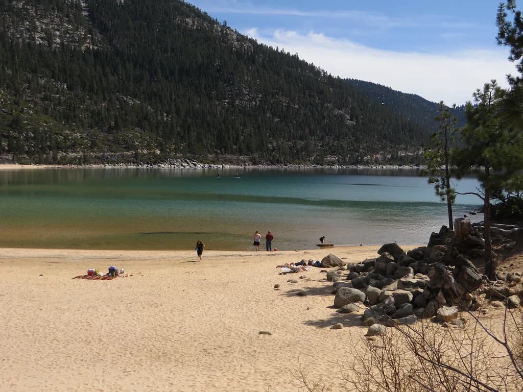 Places to Swim With Dogs Sacramento: Lakes & Pool Rentals