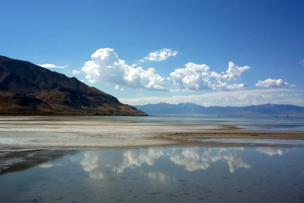 Dog Swimming Spots in Salt Lake City: Pools, Creeks & Lakes