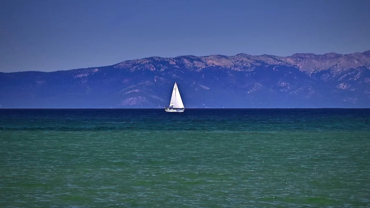 South Lake Tahoe Dog Swimming Spots: Where to Go