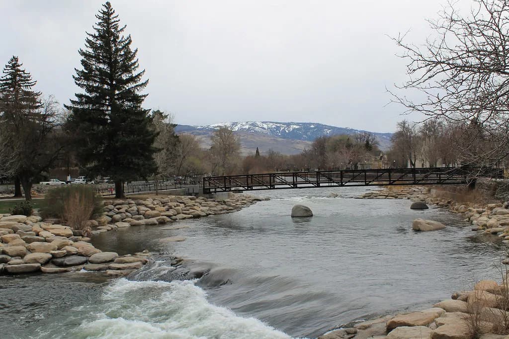 Dog-Friendly Reno: Trails, Patios and Where to Stay
