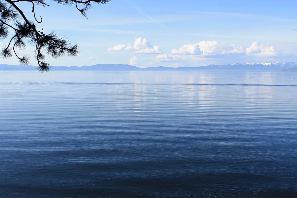 Dog-Friendly South Lake Tahoe: Where to Go & Stay