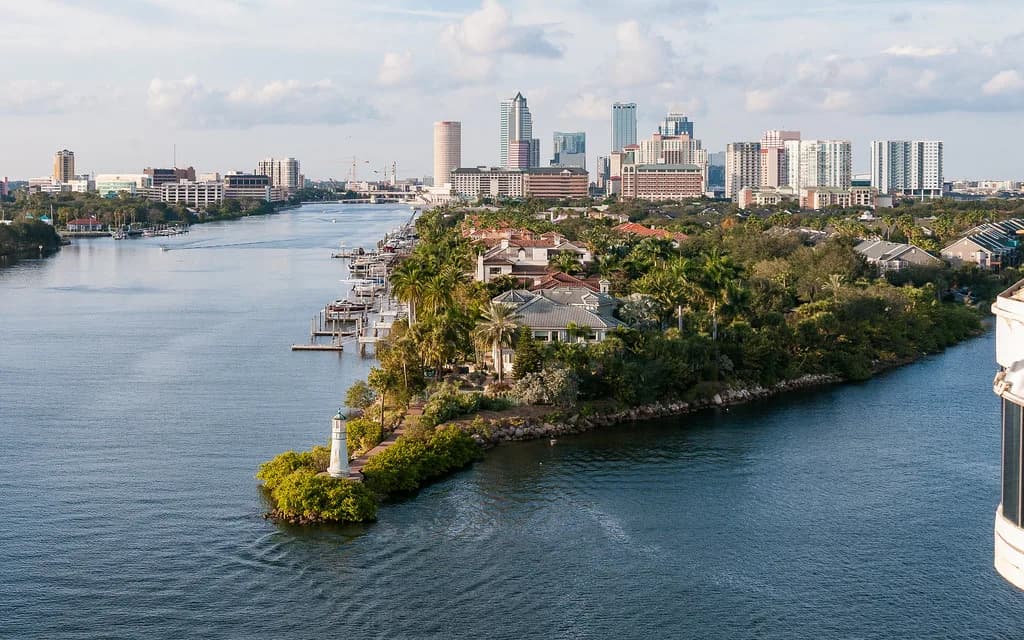 Dog-Friendly Tampa: Where to Eat, Stay, Play and Walk
