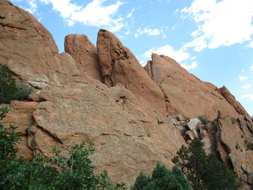 Dog-Friendly Hikes Colorado Springs: Trail Guide