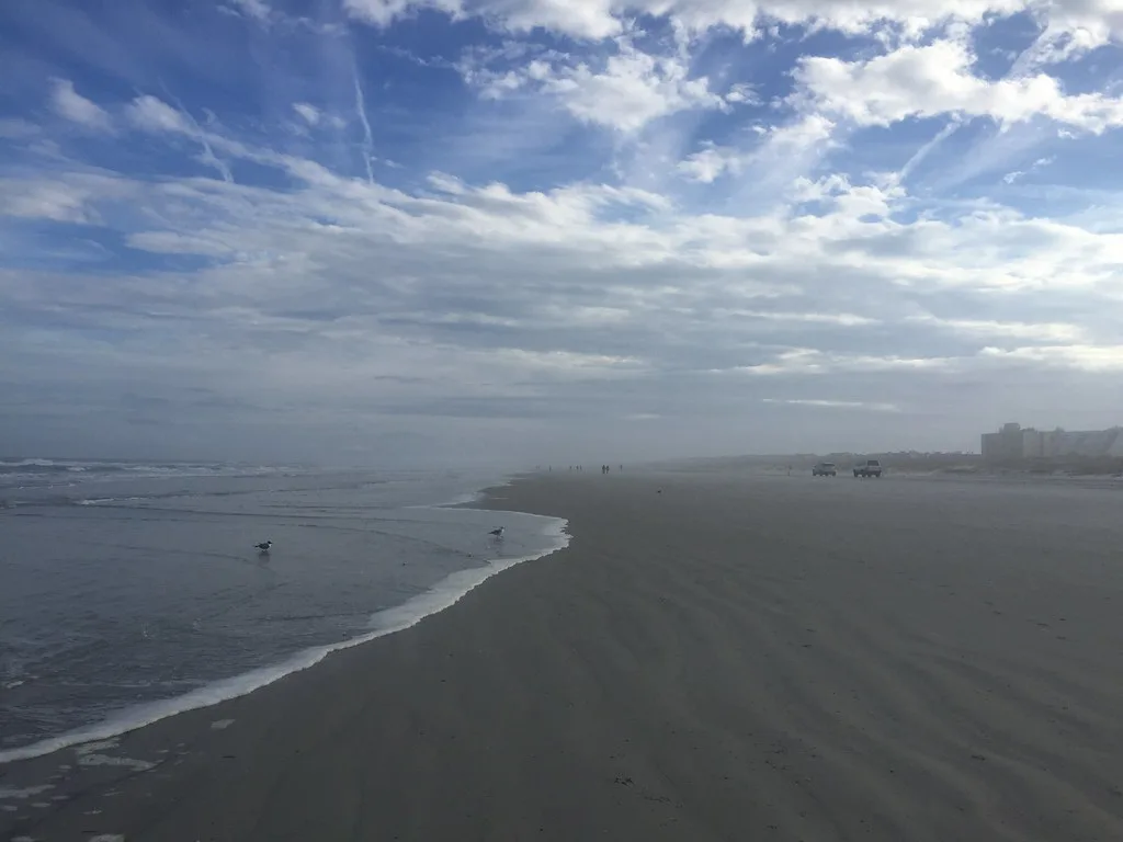 Are Dogs Allowed on St. Augustine Beach? Rules by Beach