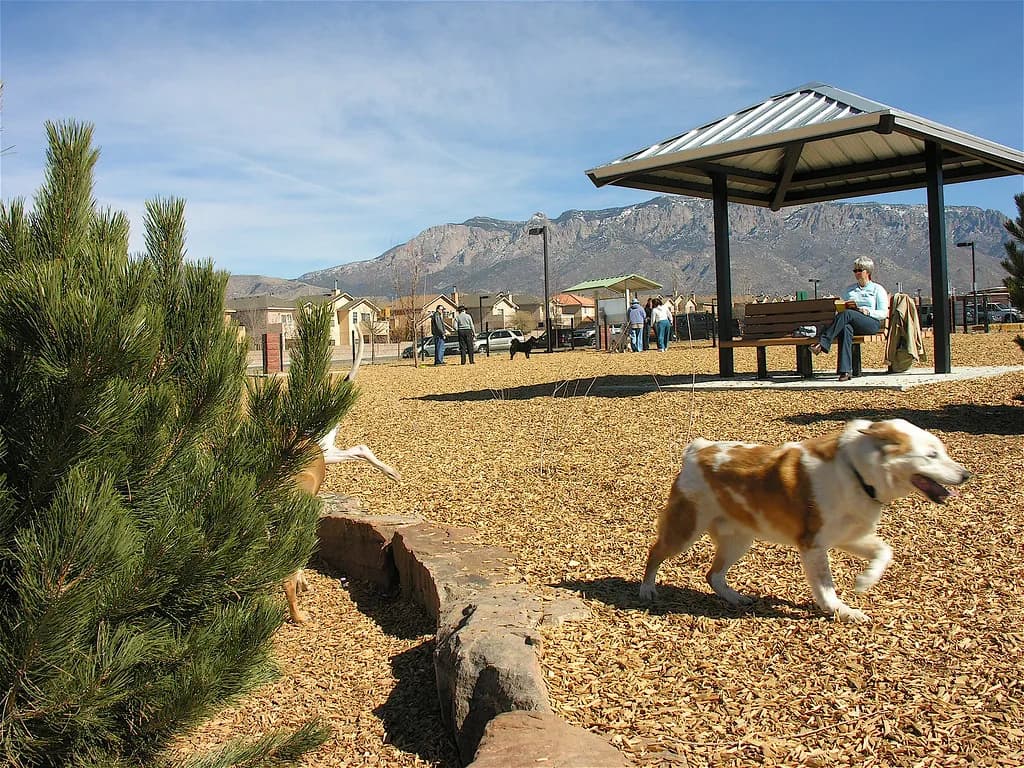 North Domingo Baca Dog Park, Albuquerque: Rules & Hours
