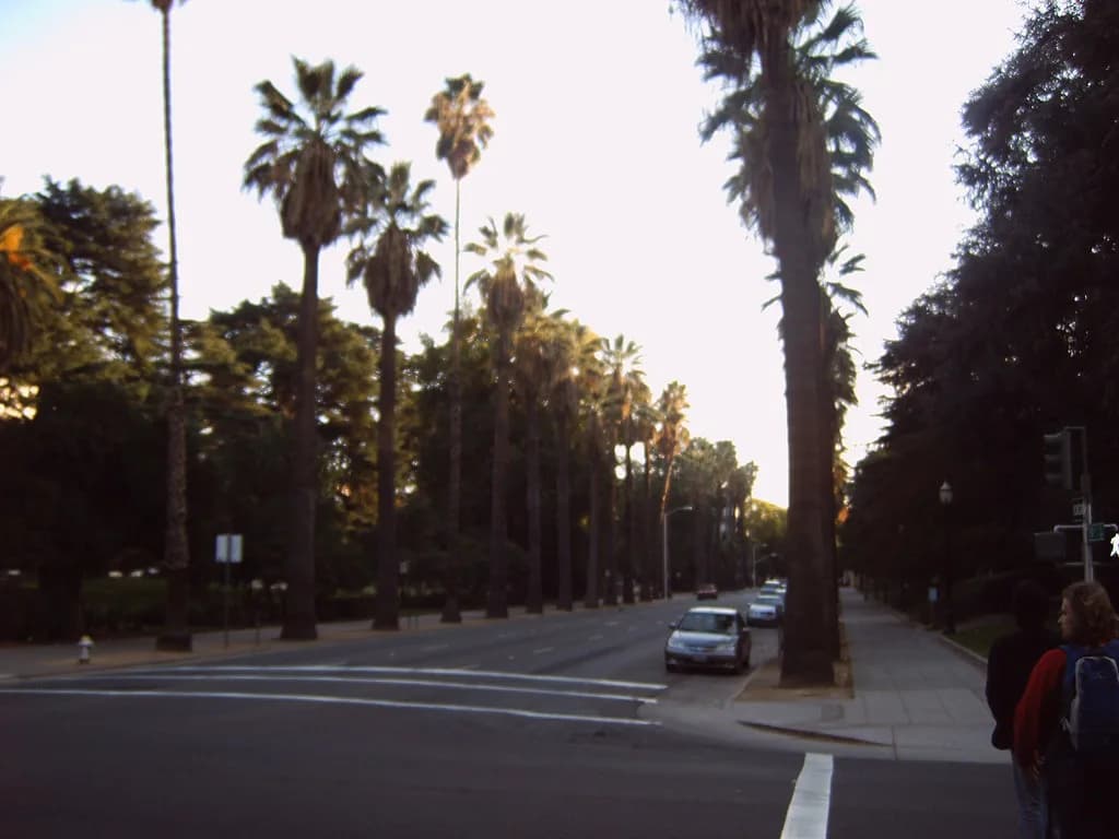Sacramento Leash Law: Rules for Dog Owners