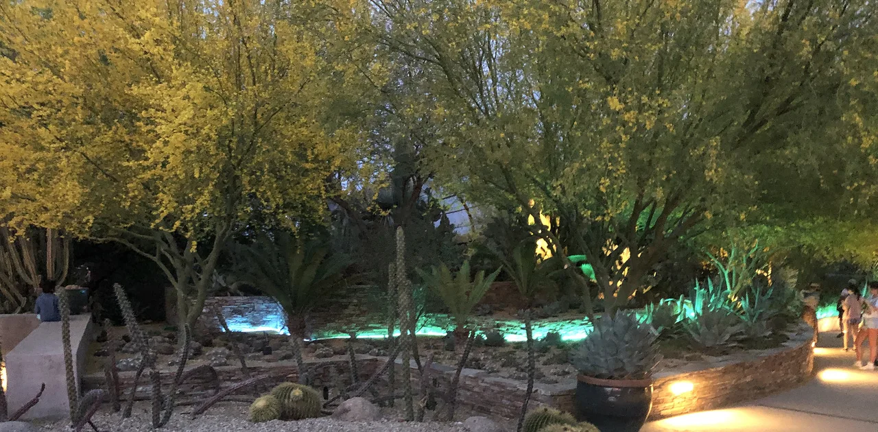 PHX Desert Botanical Garden River of Lights, Albuquerque