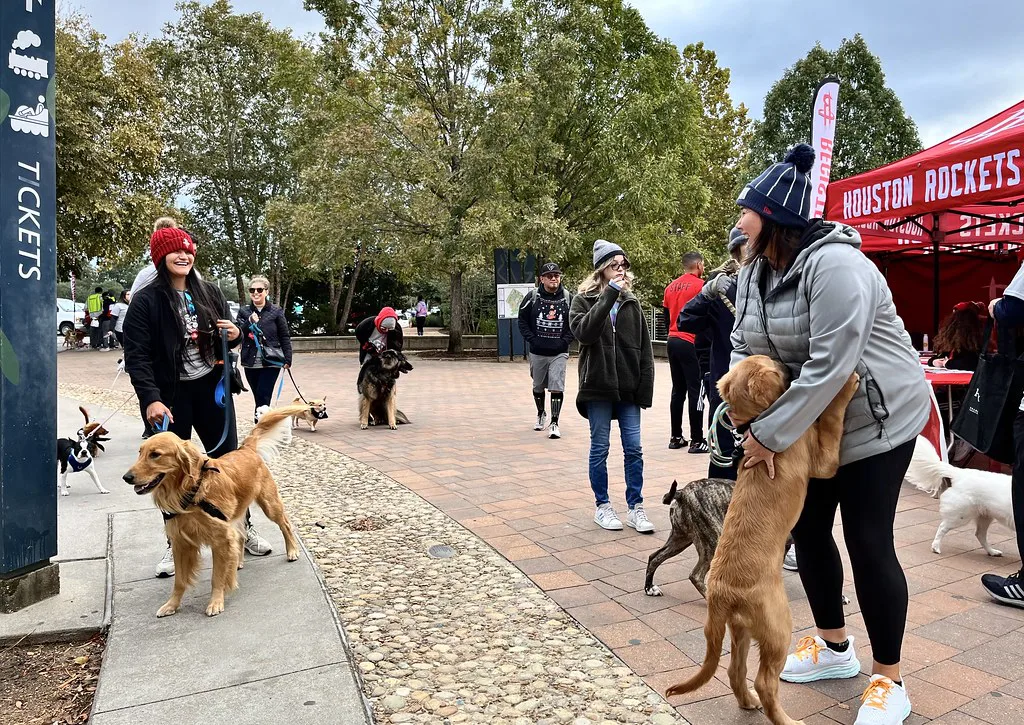 Houston Dog Walk