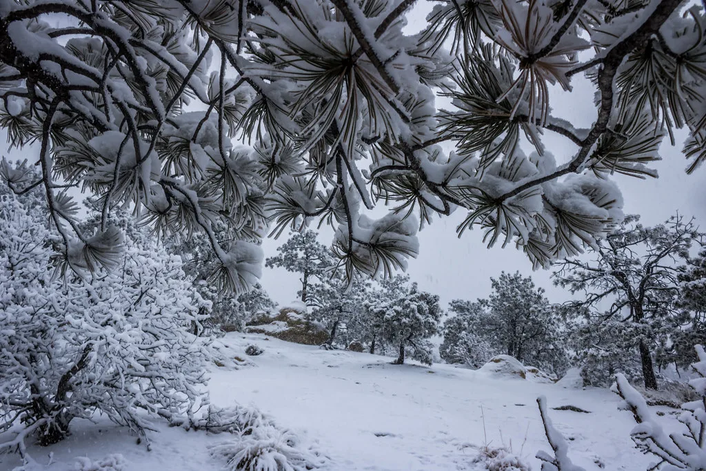 Colorado Springs, USA