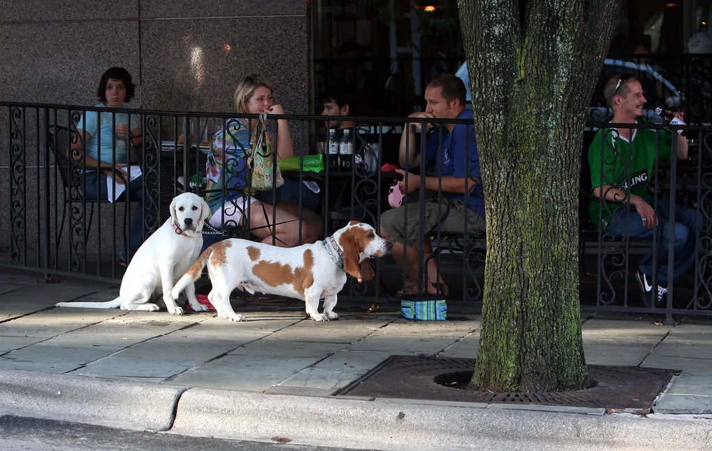 Cafe Table for Four, Asheville