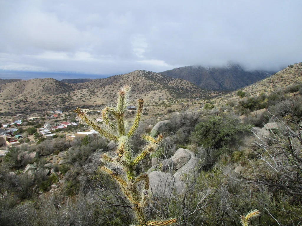 Tramway Trail, Albuquerque