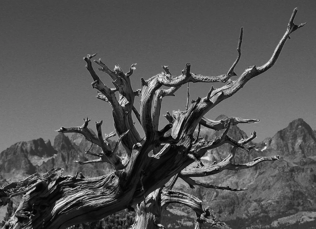 Mammoth Lakes, USA
