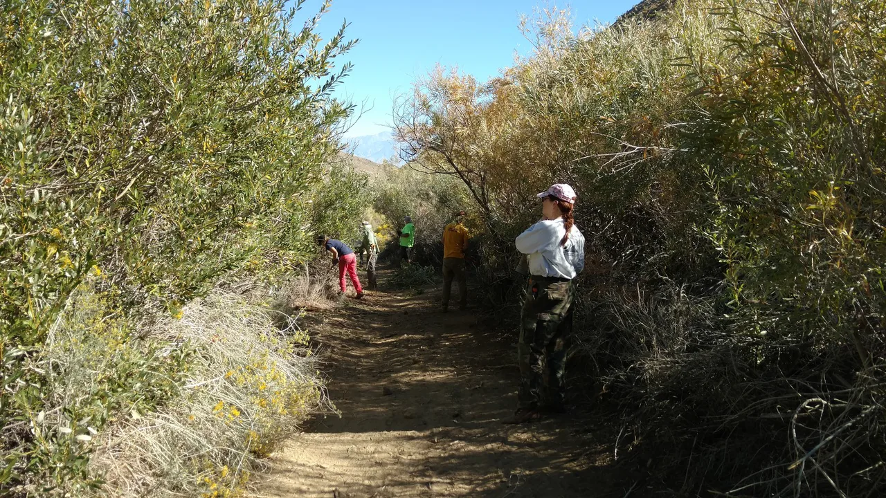 #NPLD : Caring for a Favorite OHV and Hiking Spots, Napa