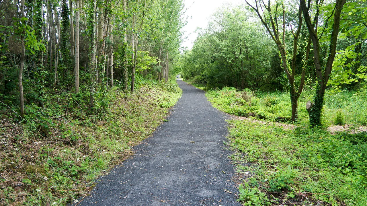 Limerick City - Russell Park, Park City