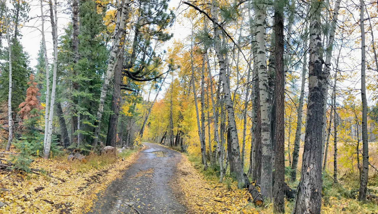 South Lake Tahoe, USA
