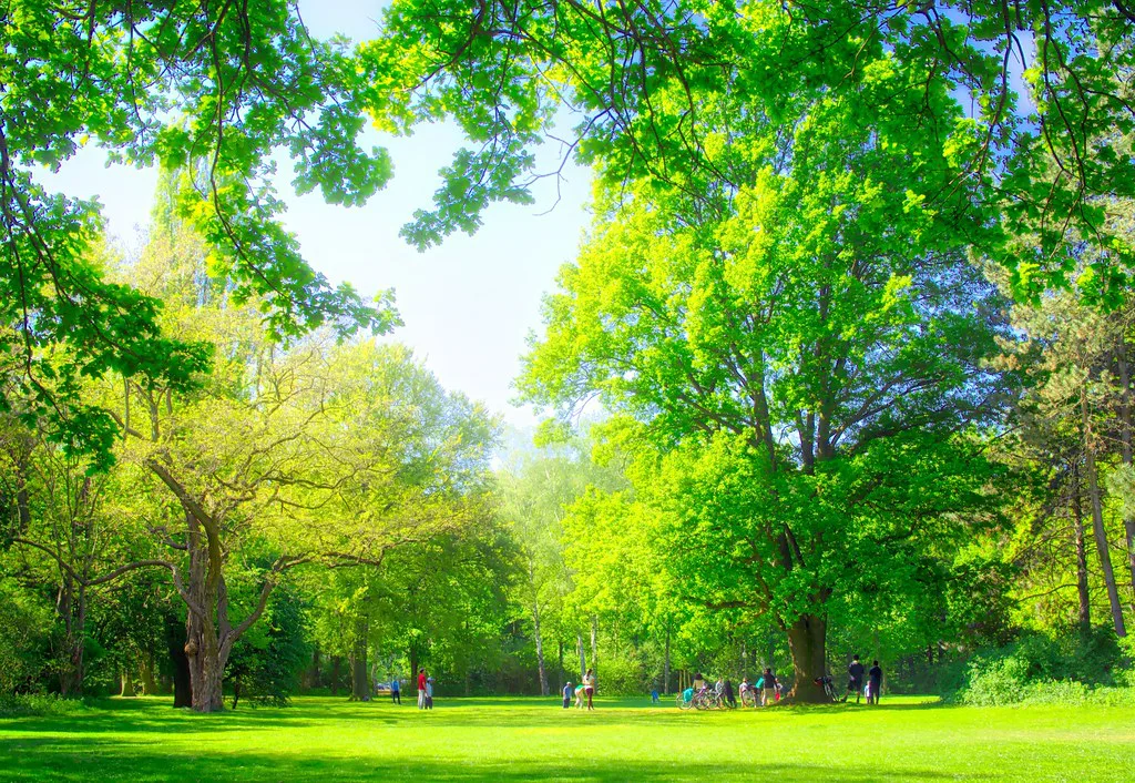 Tiergarten, Berlin, Park City