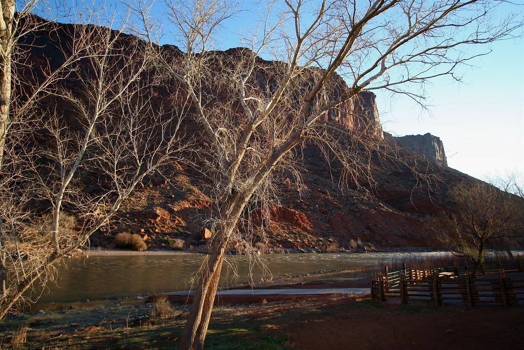 The Colorado River from our cabin patio, Moab