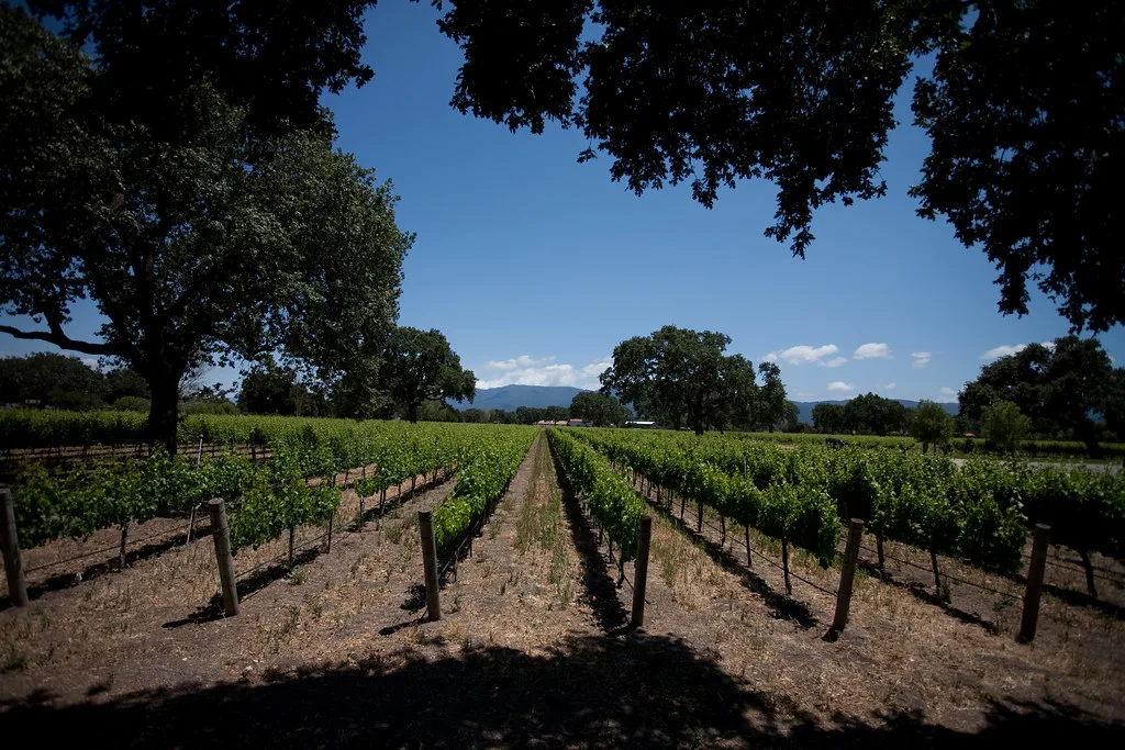 Santa Barbara - Wine