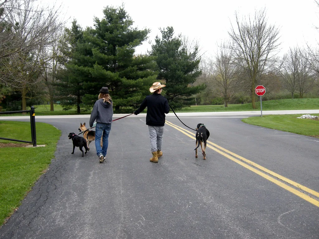 River Bend Dog Walk