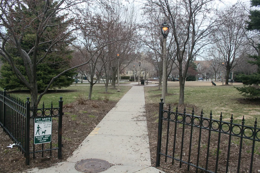 Dog Park, Milwaukee