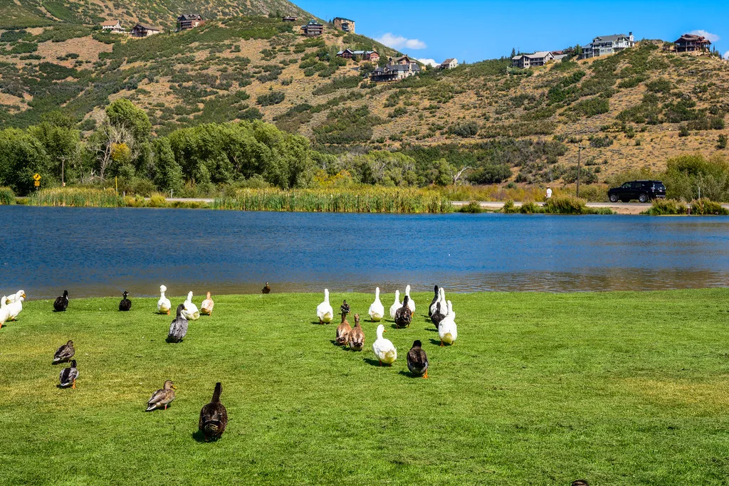 USA Mountain States - Salt Lake County, Utah County, Moab
