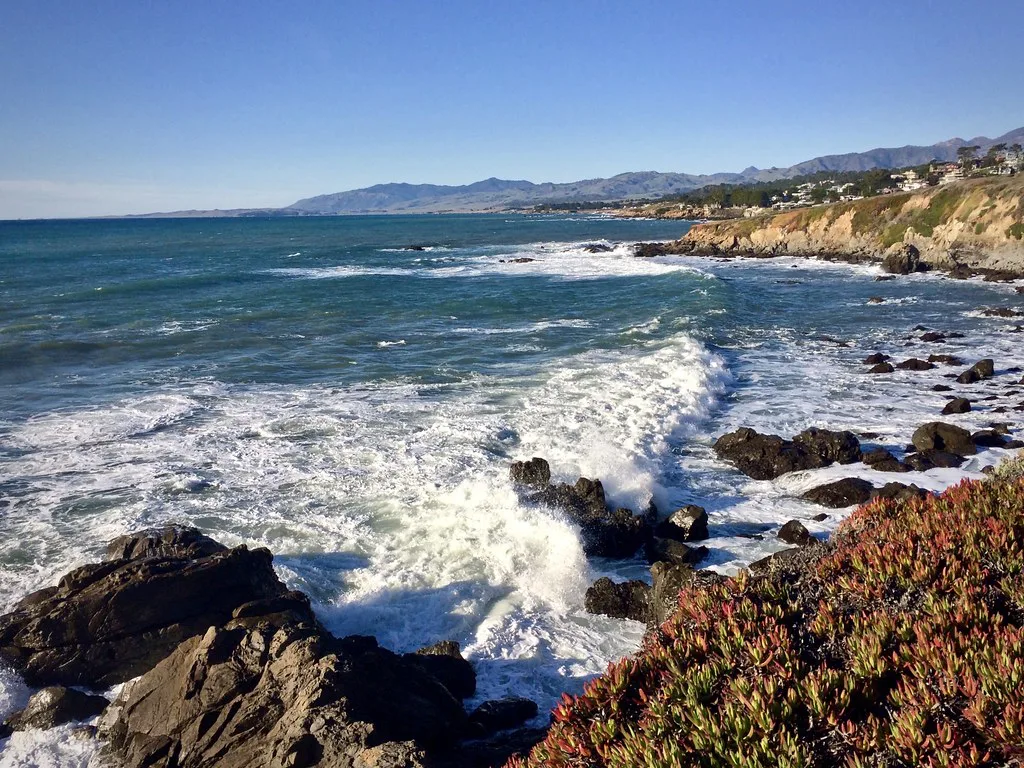 Fiscalini coast, Monterey