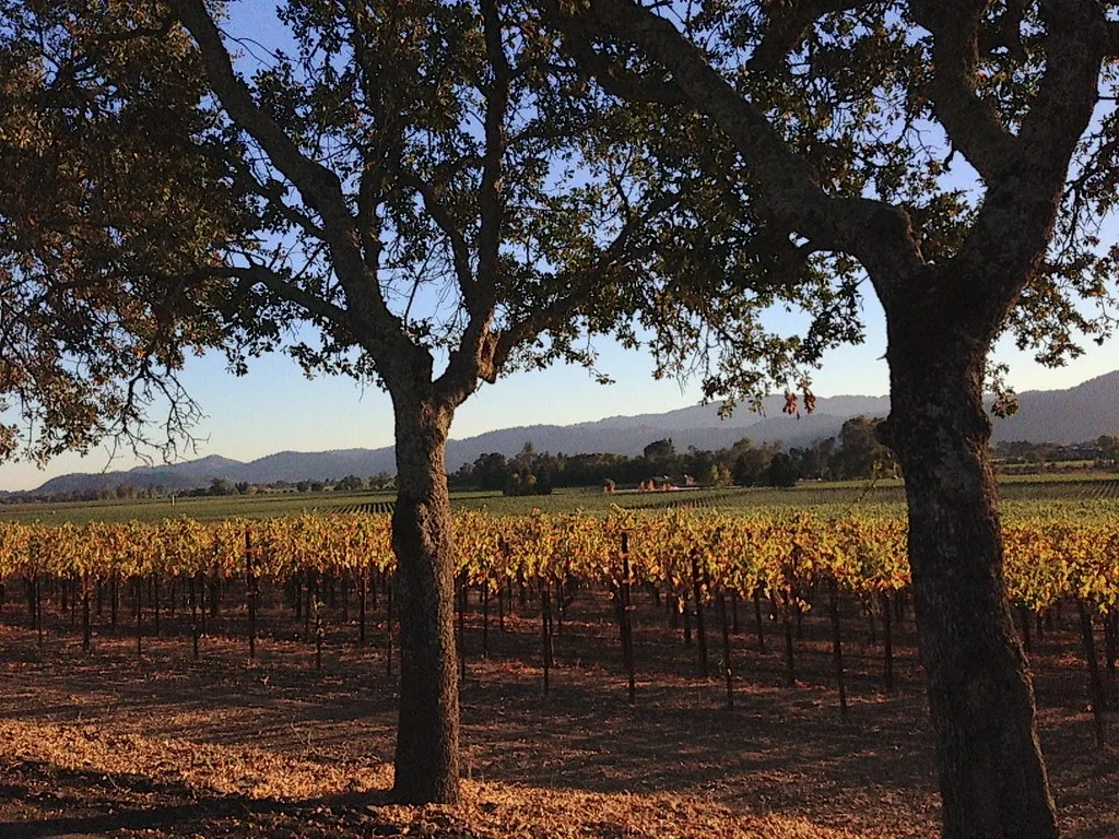 Napa, USA