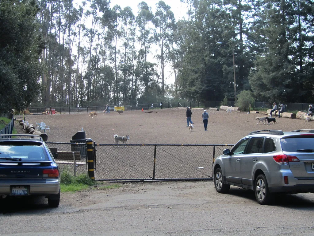 Recreation area for large dogs, Oakland