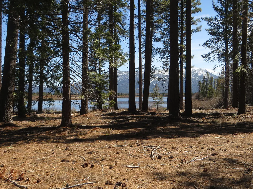 Trails Near Tahoe Keys, South Lake Tahoe, California