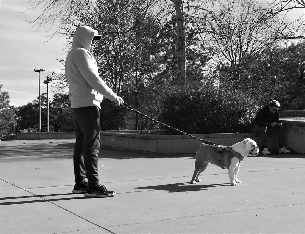 Dogs and their people, Houston