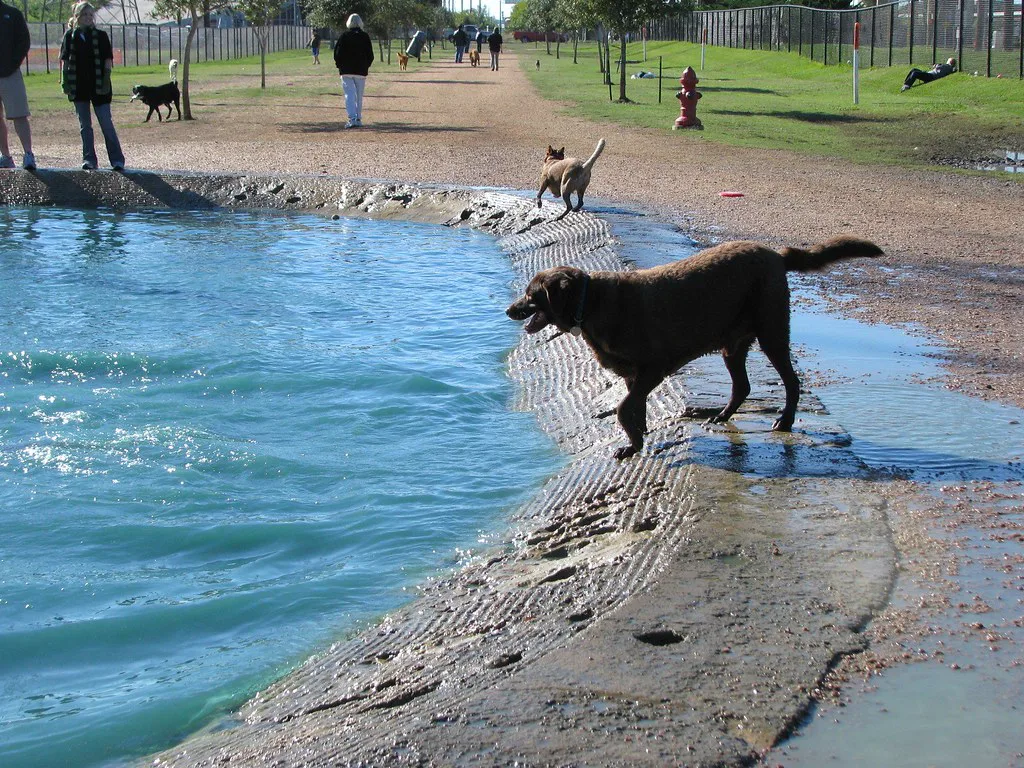 Cannonball!, Houston