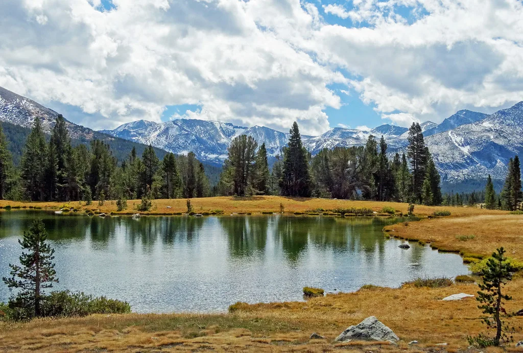 Storm Moving Over Ellery Lake, Yosemite Np, Mammoth Lakes