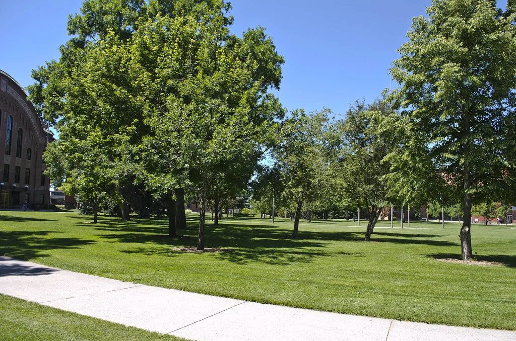 looking WSW across Quad from Renne Library - Montana State University, Bozeman